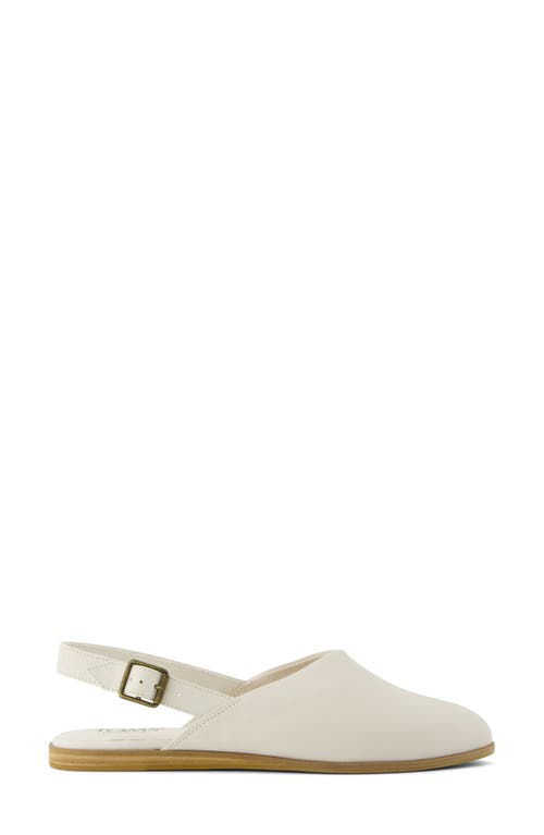 TOMS TOMS JADE SLINGBACK MULE 