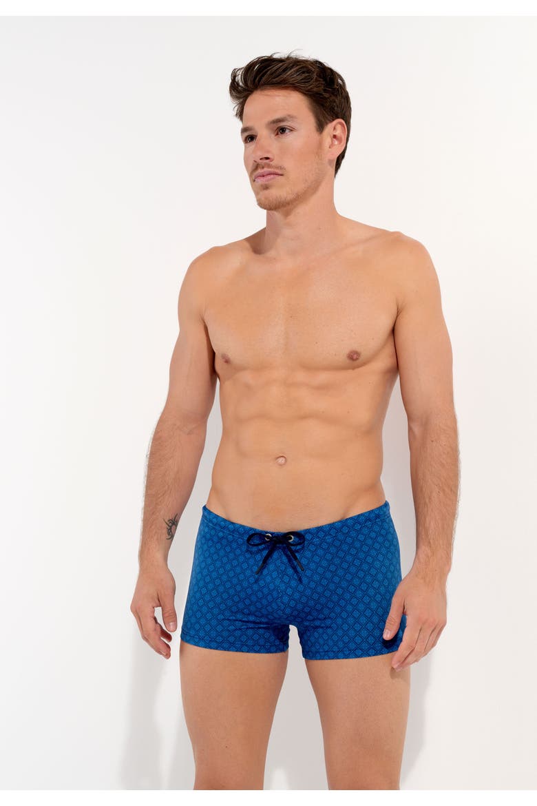 Hendaye Swim Shorts, Alternate, color, Blue Print