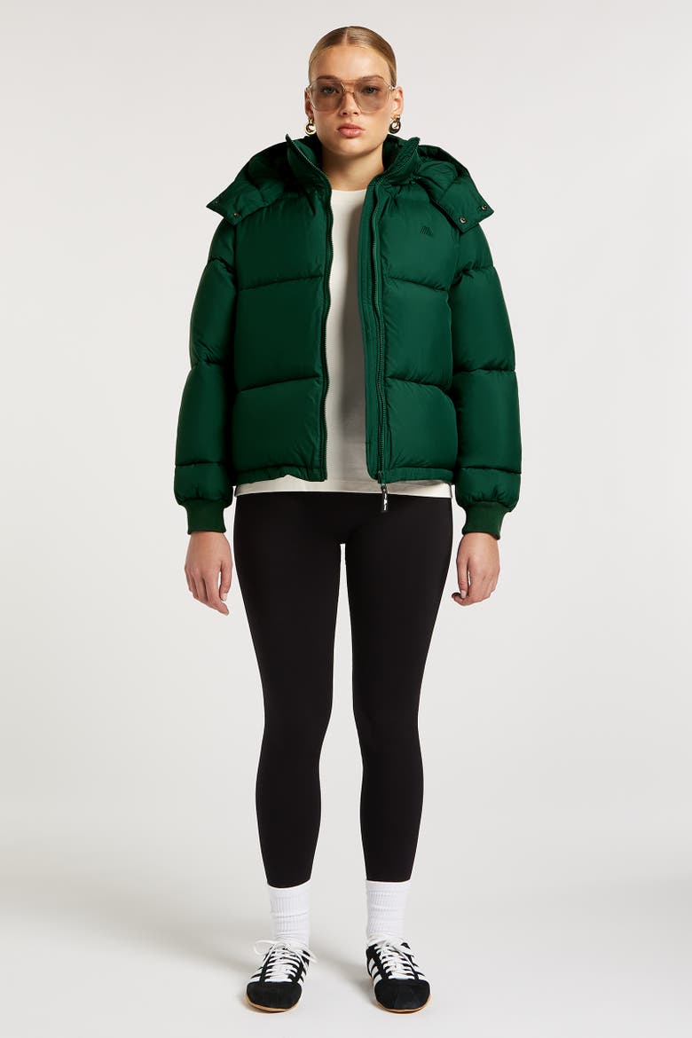 Hudson Long Sleeve Hooded Puffer Coat, Alternate, color, Forest Green