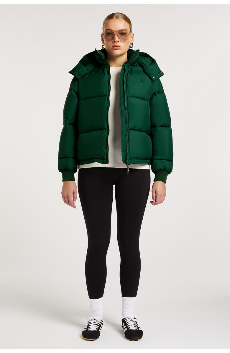 4TH ARQ Hudson Long Sleeve Hooded Puffer Coat, Alternate, color, 