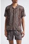 selected Brown Bandana Print
