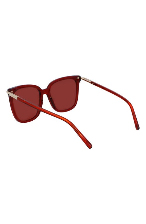 Ferragamo Prisma 56mm Modified Butterfly Sunglasses In Transparent Red