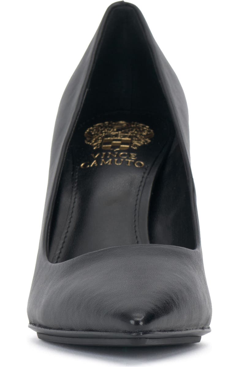 Vince Camuto Brislana Pointed Toe Pump, Alternate, color,