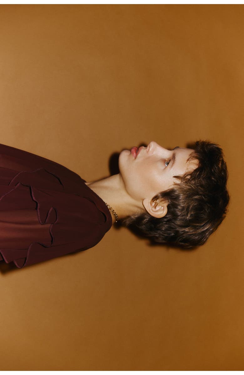 H&M Sheer Flounce-trimmed Blouse, Alternate, color, Dark Brown