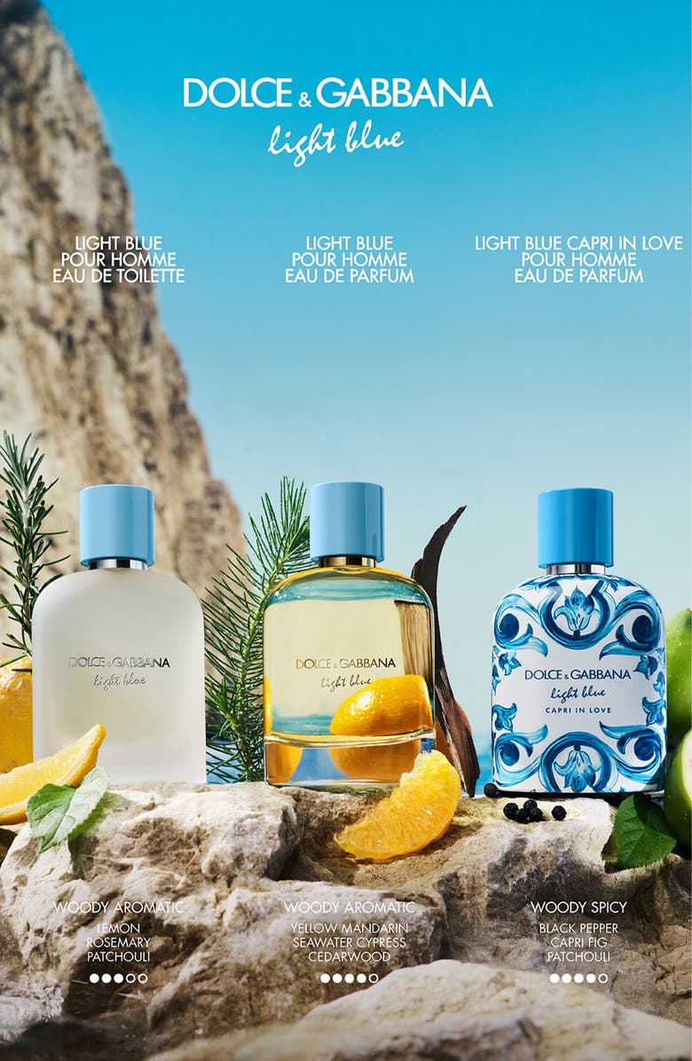 Dolce&Gabbana Light Blue Pour Homme Eau de Parfum, Alternate, color, 
