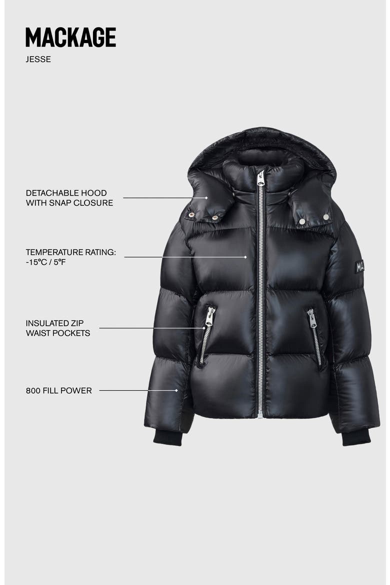 Kids' Jesse Hooded Down Puffer Jacket, Alternate, color, BLACK