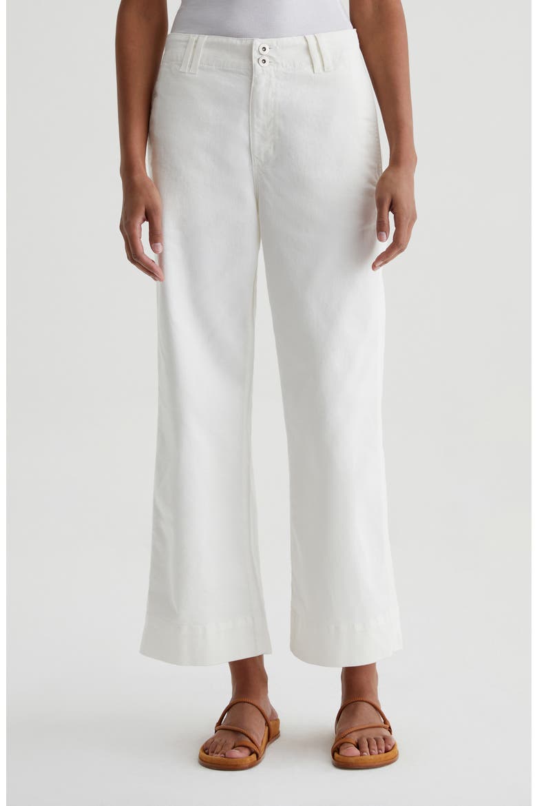 Natasha High Waist Flare Ankle Pants, Main, color, POWDER