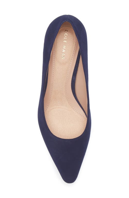 Cole Haan The Go-to Janey Pointed Toe Pump In Blue