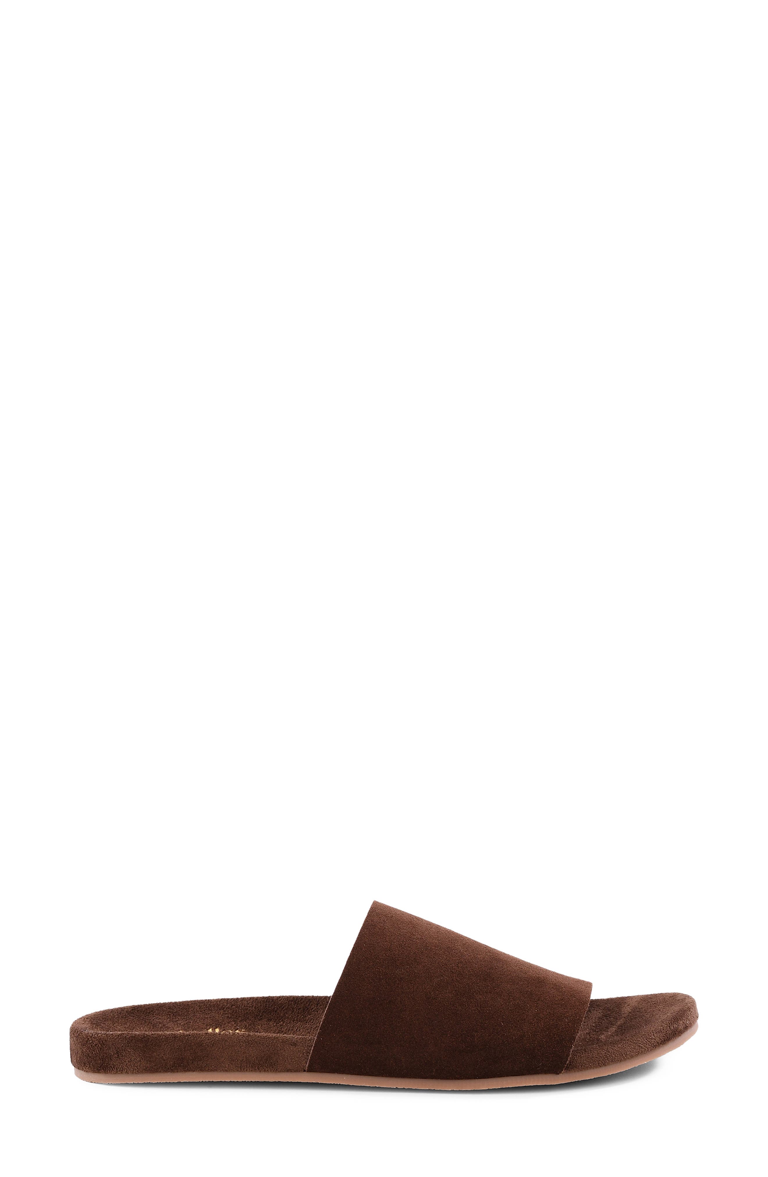 Bungalow Slide Sandal, Alternate, color, CHOCOLATE