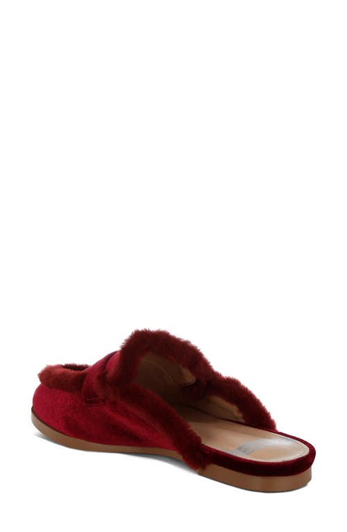 Rag & Co Malta Faux Fur Trim Velvet Mule In Burgundy