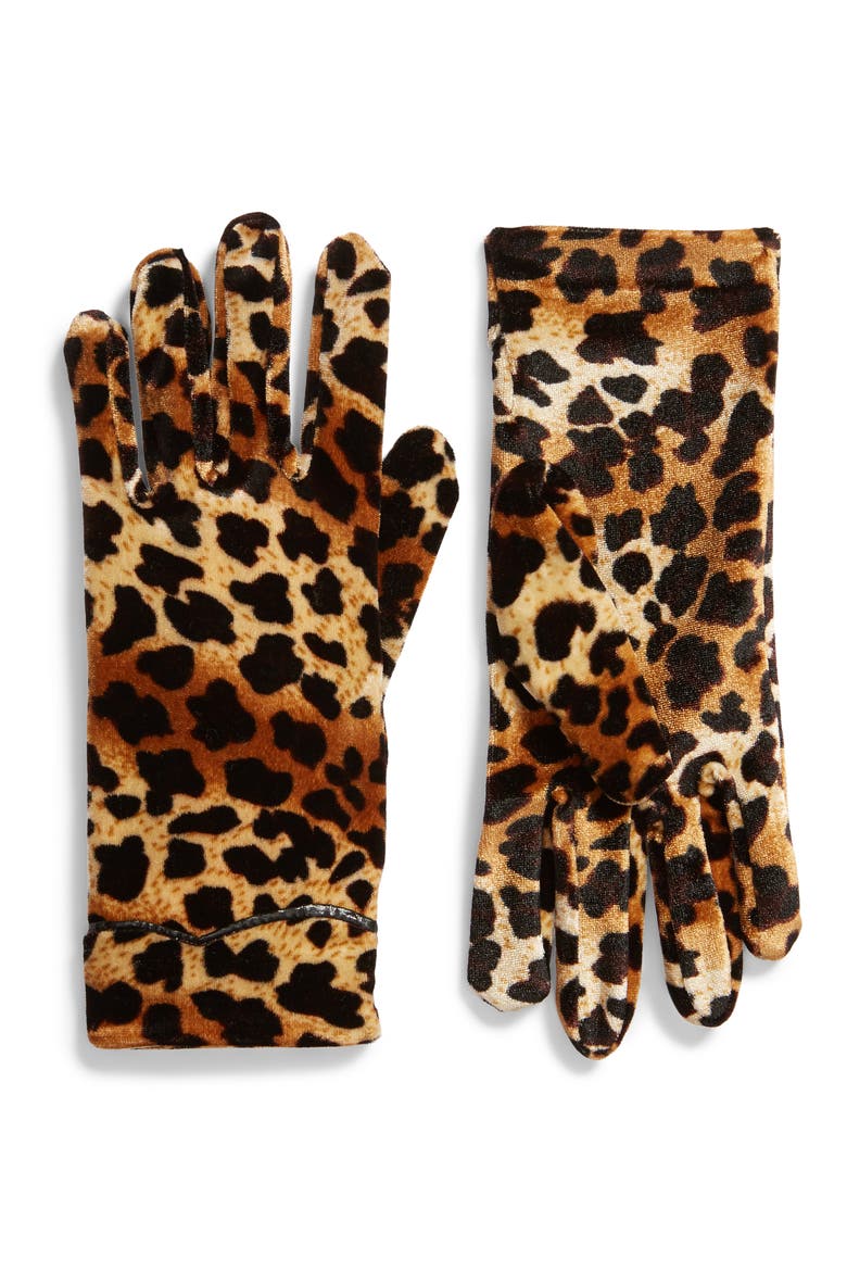 Leopard Print Velvet Gloves, Main, color, BROWN MULTI