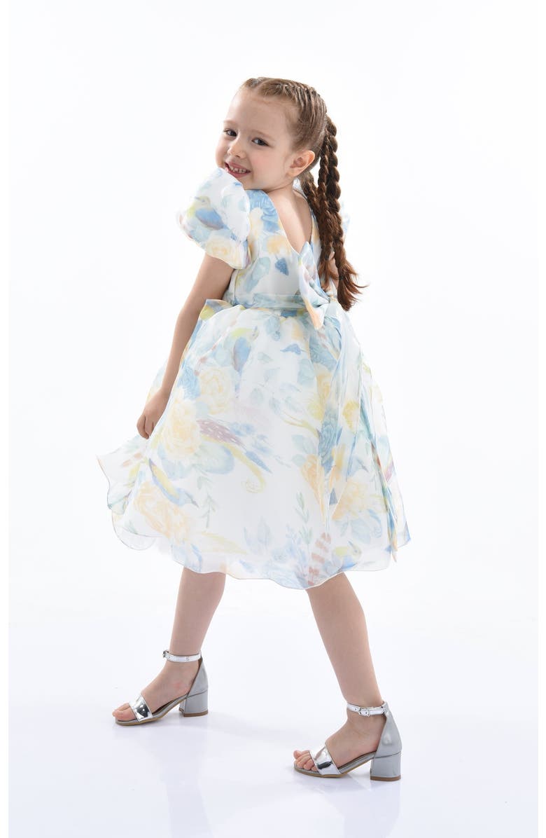 Tulleen Chablis Dress, Alternate, color, Blue