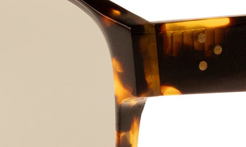 Raen Rifka 54mm Square Sunglasses In Brown
