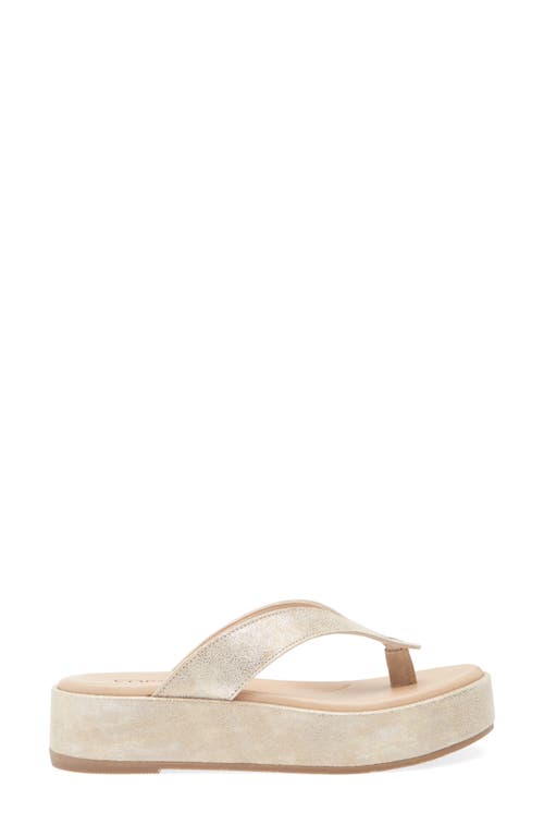 Cordani Kendra Platform Flip Flop In Soft Gold