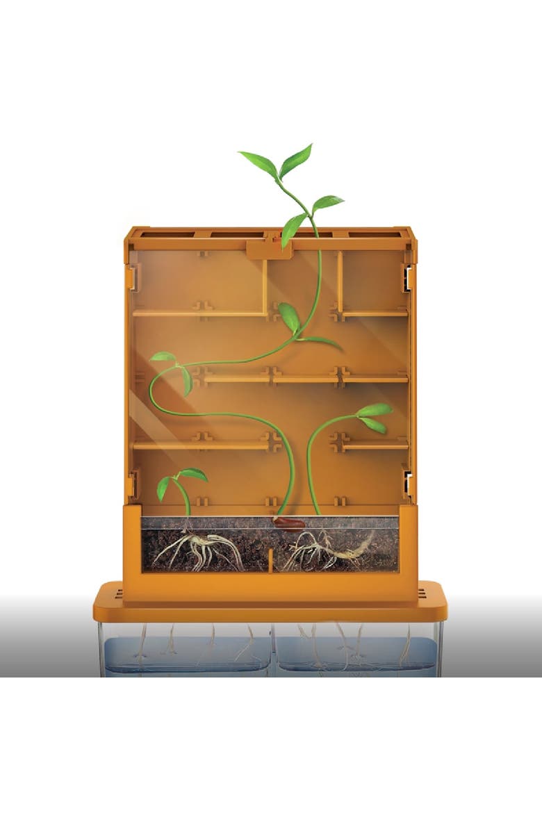 Green Science Grow A Maze, DIY Mini Plant Growth Lab, Kids 5+, Alternate, color, Multicolored