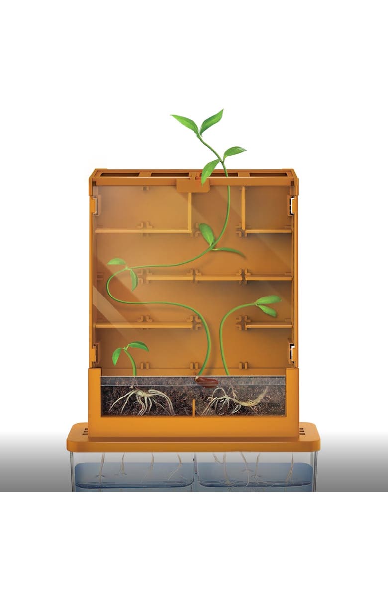 4M Green Science Grow A Maze, DIY Mini Plant Growth Lab, Kids 5+, Alternate, color, Multicolored