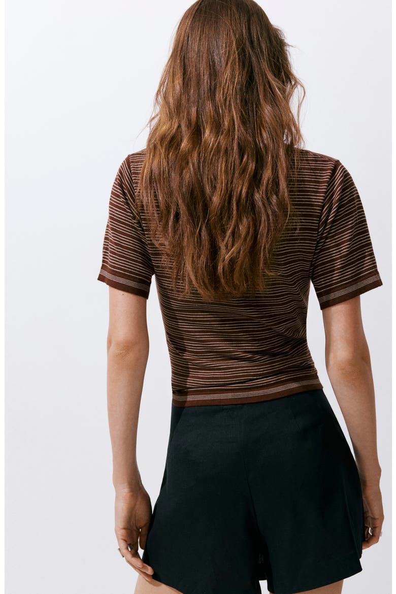 Stripe Short Sleeve Sweater, Alternate, color, CHOCOLATE