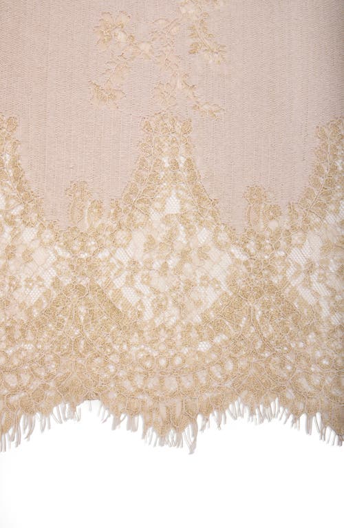 Saachi Lace Embellished Scarf In Brown