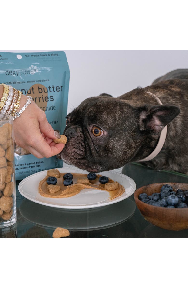 Dexypaws Peanut Butter & Blueberry Dog Biscuits 12oz, Alternate, color,
