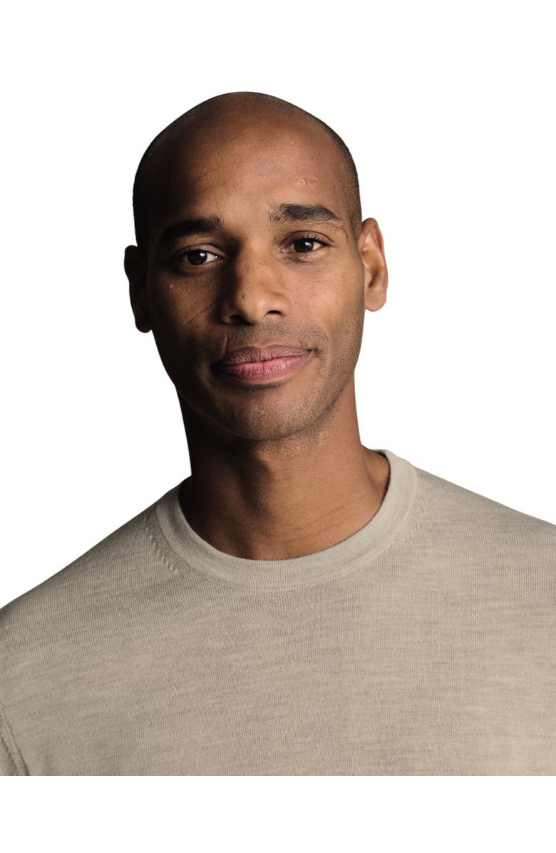 Charles Tyrwhitt Pure Merino Crew Neck Sweater, Alternate, color, Limestone