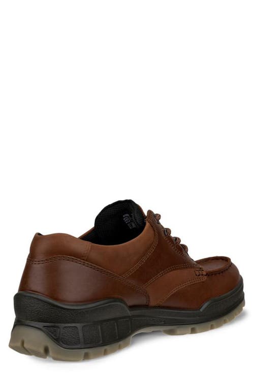 Ecco Track 25 Waterproof Moc Toe Derby In Brown