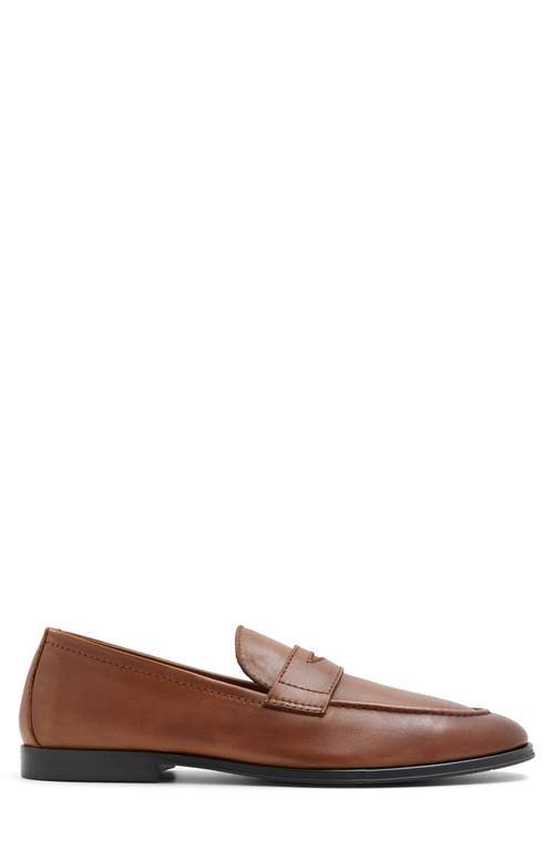 ALDO ALDO JOURNEY PENNY LOAFER 