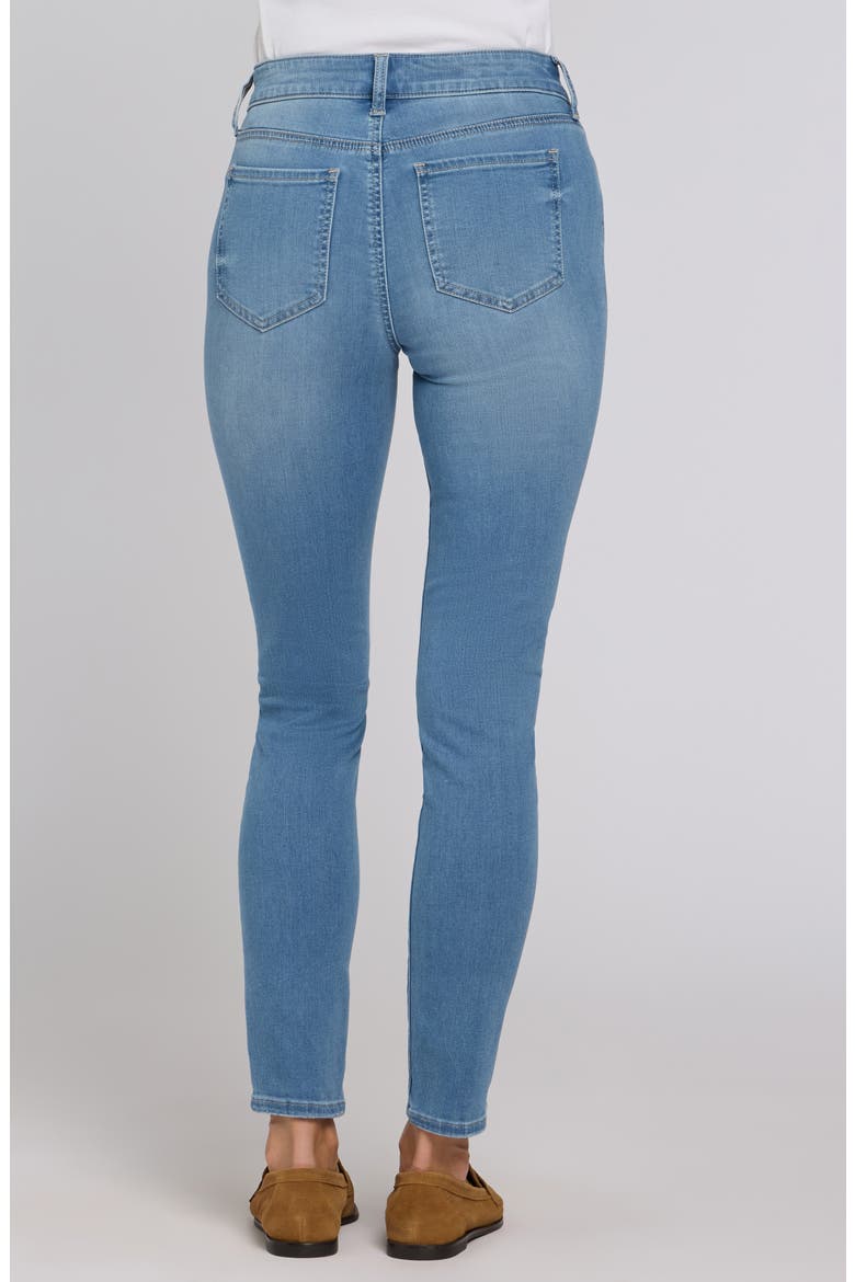 Ami Stretch Skinny Jeans, Alternate, color, VISTA LAKES