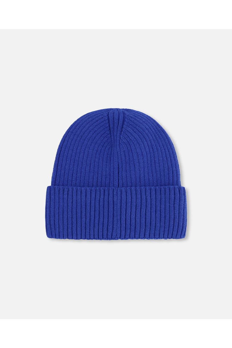 Boy Rib Knit Beanie Hat, Alternate, color, Royal Blue