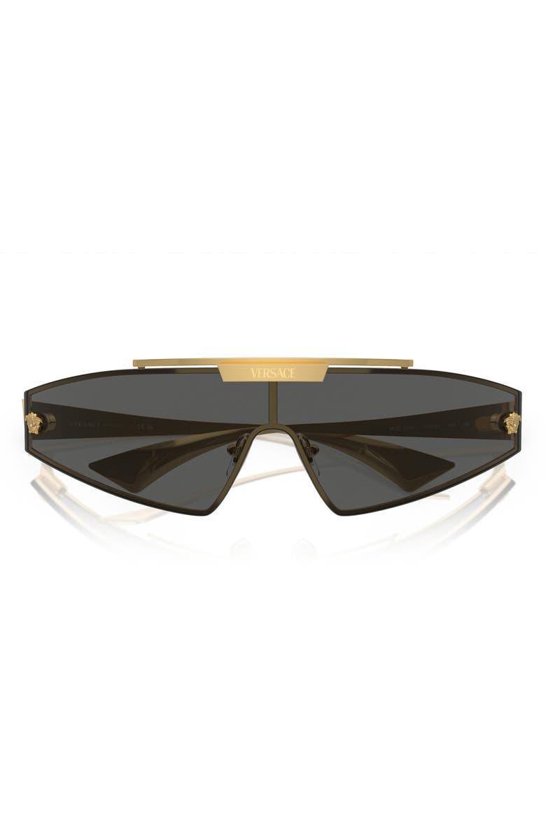 Versace Infinite Greca Shield Sunglasses, Alternate, color, 