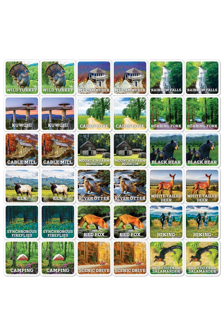 Great Smoky Mountains Matching Game, Alternate, color, Multicolor