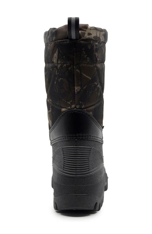 Polar Range Dryden Waterproof Snow Boot In Brown