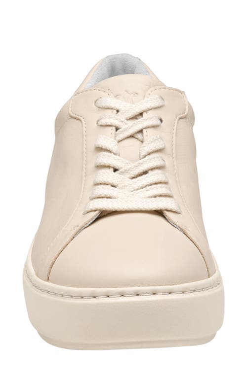 Johnston & Murphy Cammie Low Top Sneaker In Bone Nappa Leather