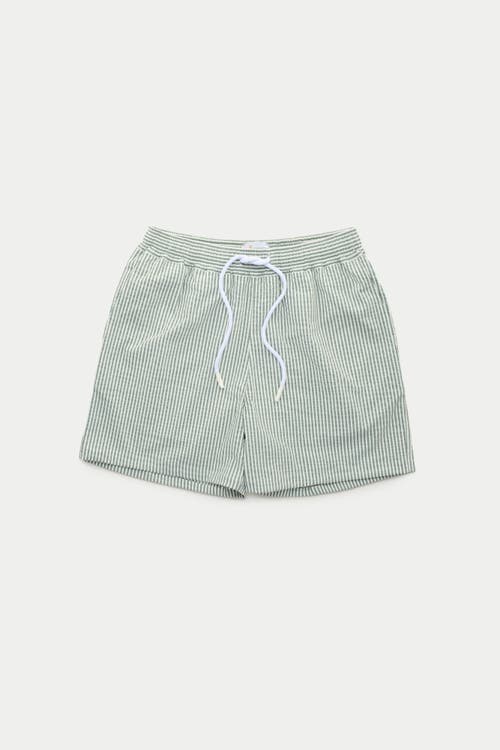 Wolf Vs. Goat (wvg) Swim Shorts Seersucker 7inch Inseam In Green