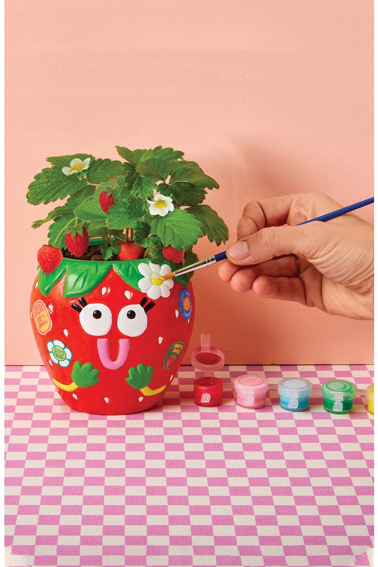 Paint & Grow Strawberry Ceramic Planter & Seeds Set, Alternate, color, NO COLOR