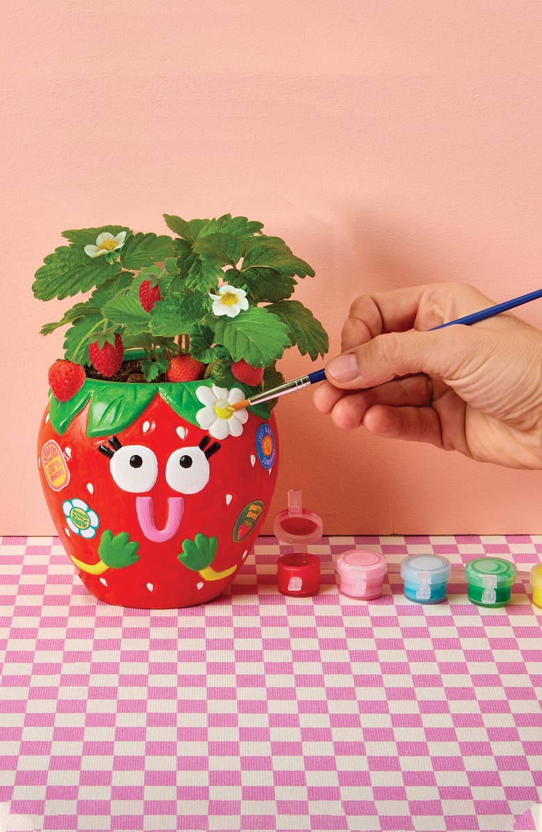 BRIGHT STRIPES Paint & Grow Strawberry Ceramic Planter & Seeds Set, Alternate, color, 