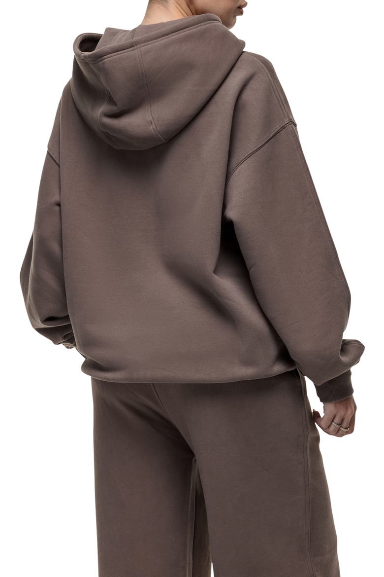 Dakota Taupe Zip Hoodie, Alternate, color, Brown