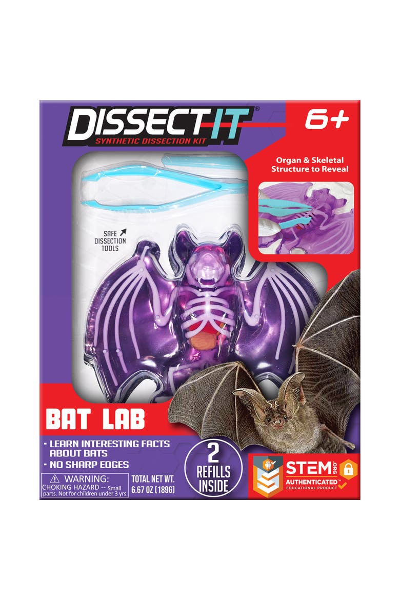 Dissect It Bat Lab Synthetic Dissection Kit, Main, color, Multicolored
