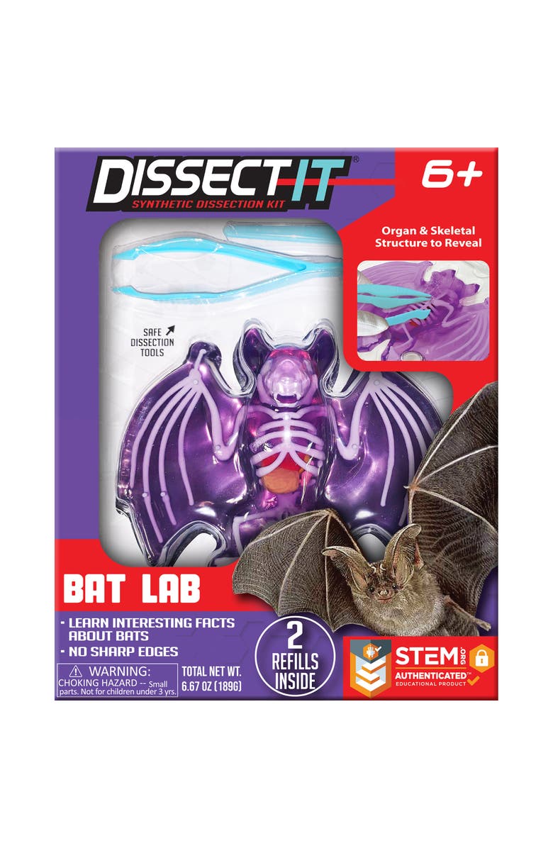 Dissect-It Dissect It Bat Lab Synthetic Dissection Kit, Main, color, Multicolored