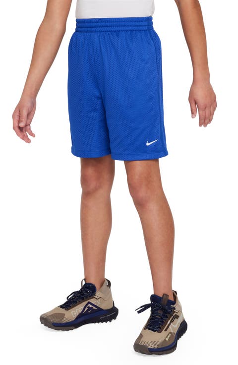 Kids' Mesh Dri-FIT Shorts (Big Kid)