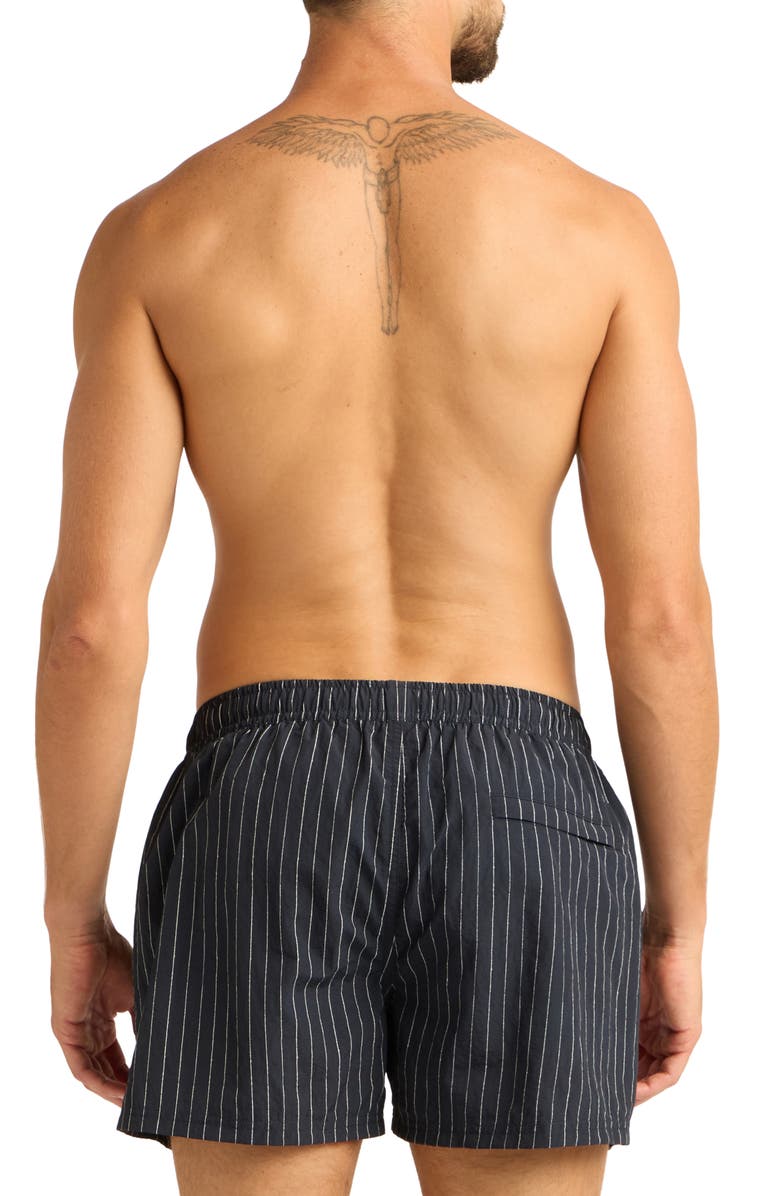 AUTO-REPLY<sup>™</sup> Print 4-Inch Nylon Swim Trunks, Alternate, color, Tailored Stripe/Storm