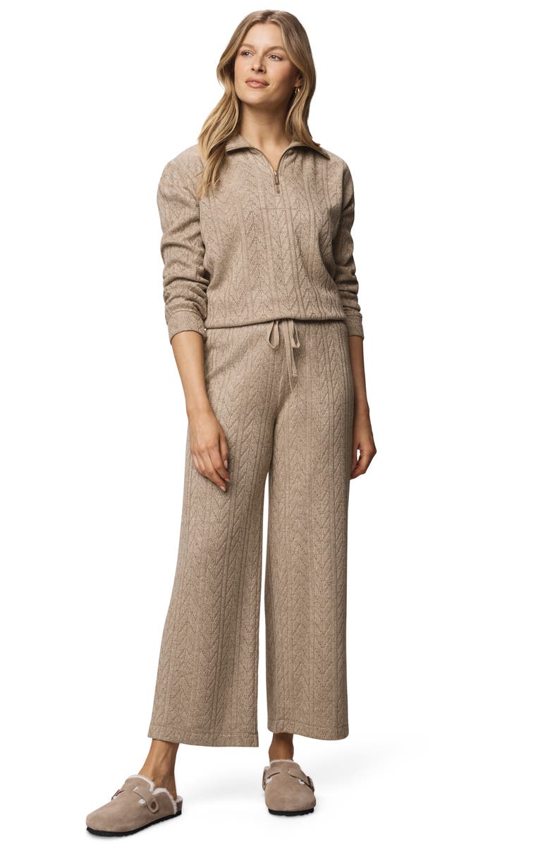 Splendid Sweatersoft Quarter Zip Pullover, Alternate, color, Light Cedar Htr