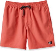 Quiksilver Everyday Solid Volley Swim Trunks