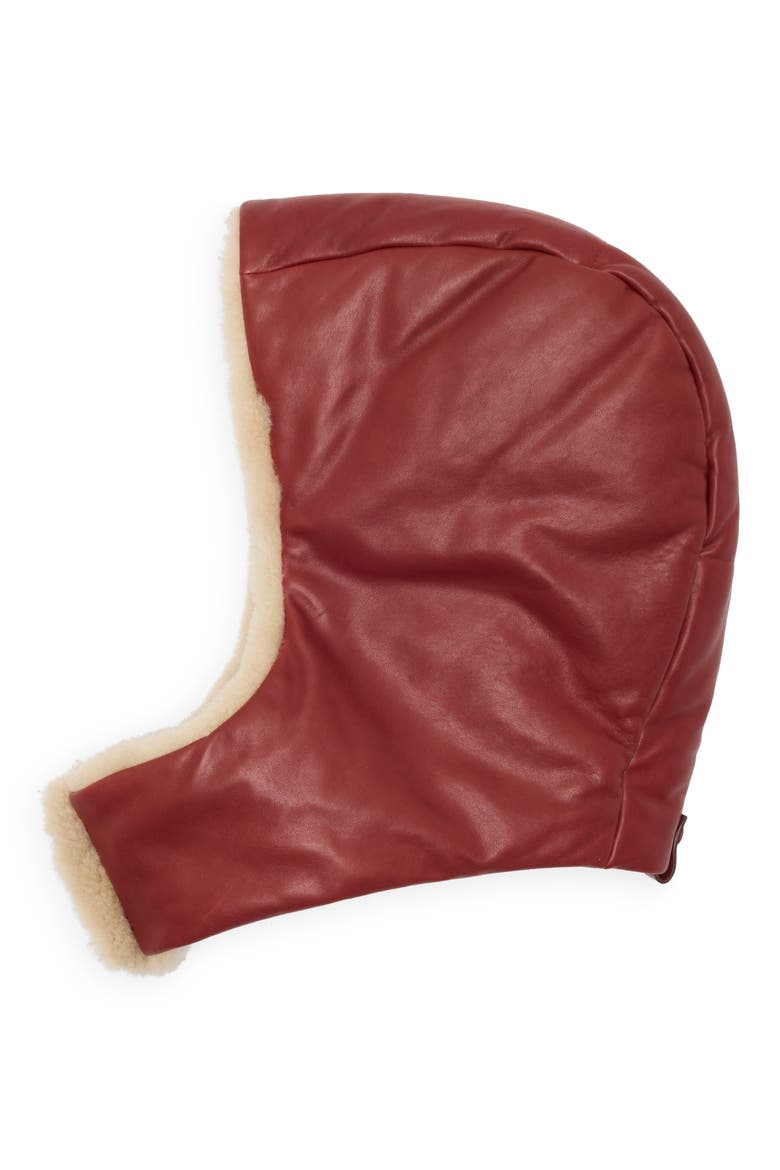 The Genuine Shearling Hood, Main, color, PINOT
