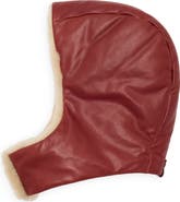 FRAME The Genuine Shearling Hood