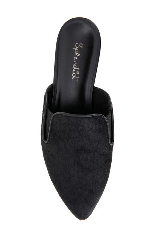 Splendid Liza Pointed Toe Mule In Black