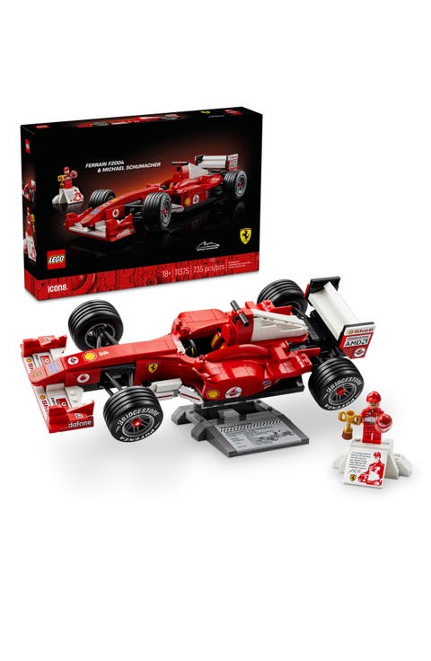 Ferrari F2004 & Michael Schumacher - 11375