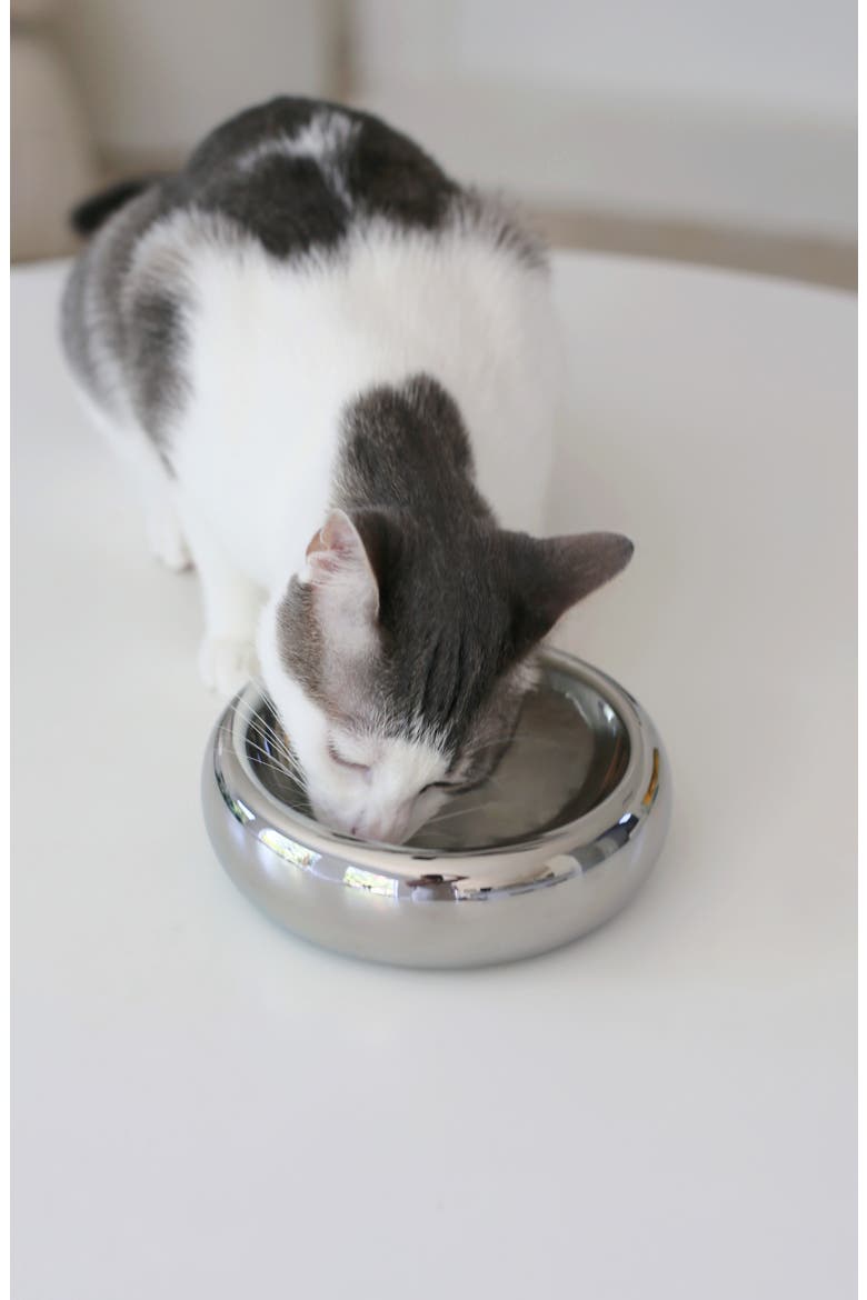 Halo Chrome Cat Bowl, Alternate, color, CHROME