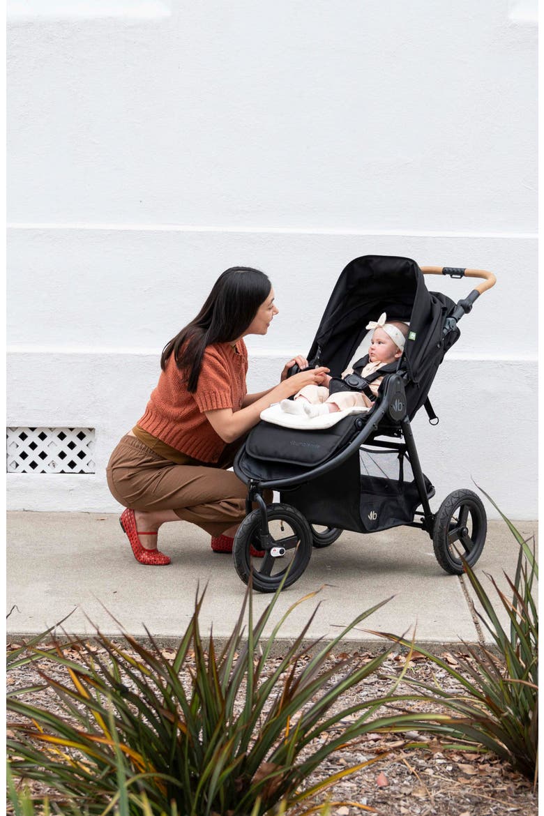 Indie All-Terrain Stroller, Alternate, color, BLACK
