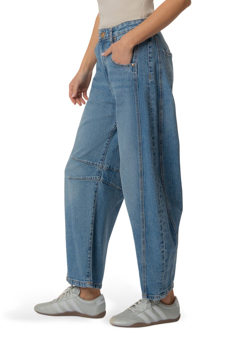 Ashlyn Baggy Barrel Leg Jeans, Alternate, color, ENDEAR