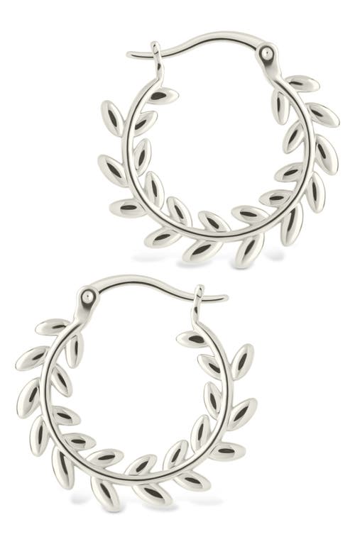 Sterling Forever Effie Vine Hoop Earrings